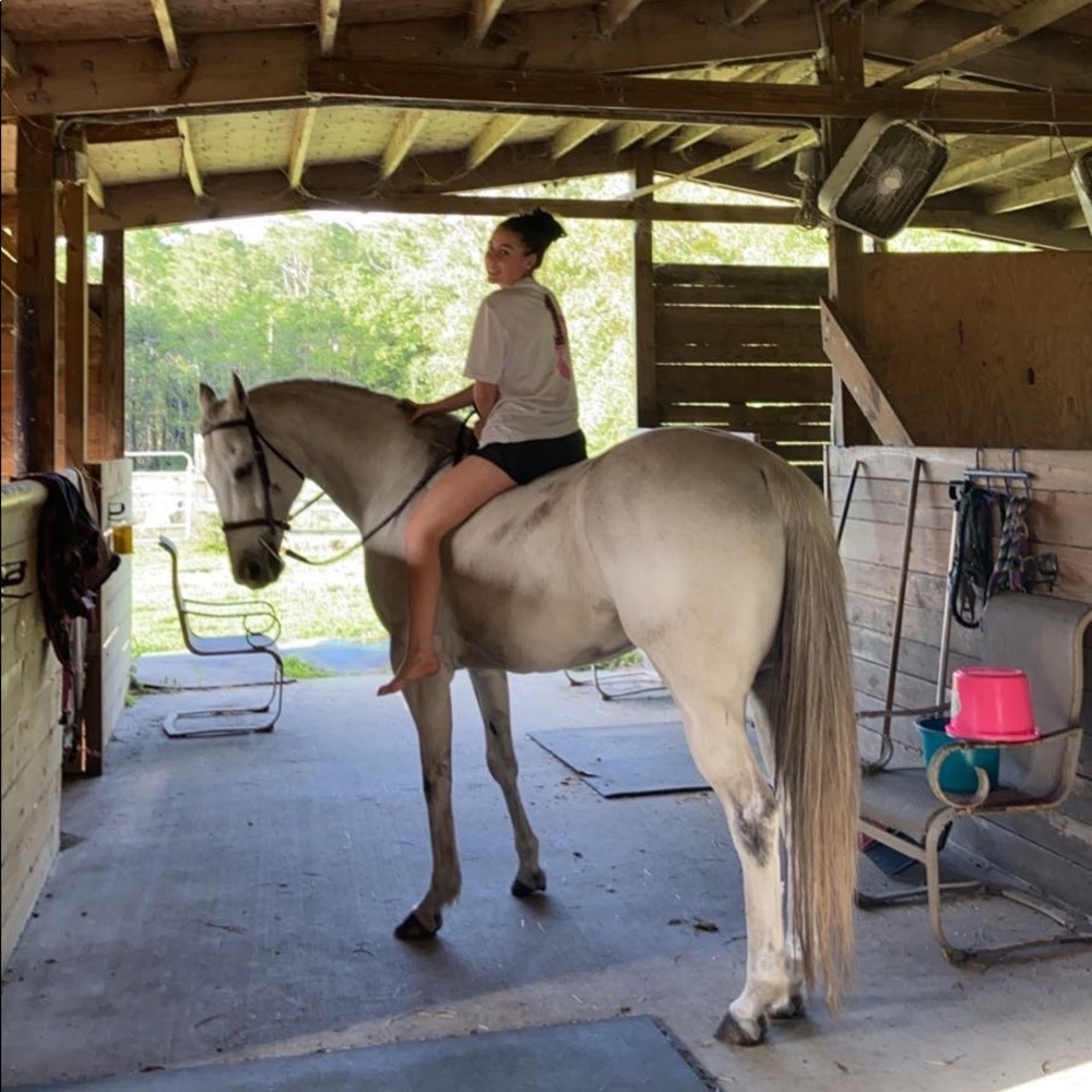 Meet your Posher, Lillianna